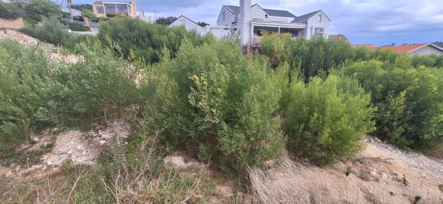 0 Bedroom Property for Sale in Bergsig Western Cape